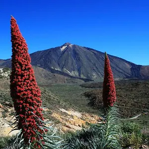 Apartamento Casa Ivonne - San Isidro, San Isidro (Tenerife)